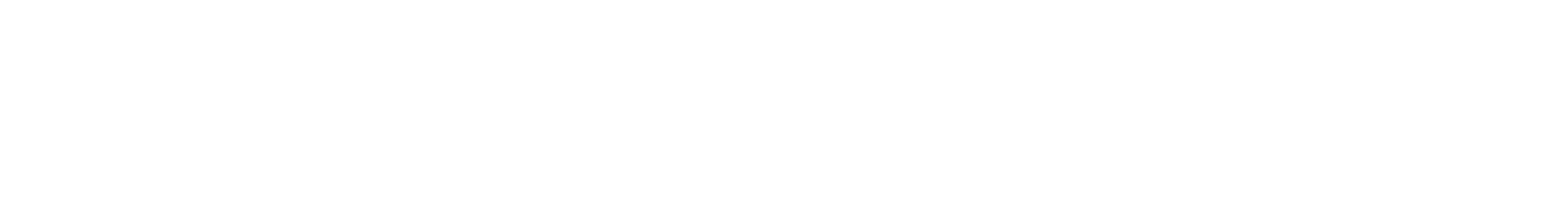 Nexus Vision
